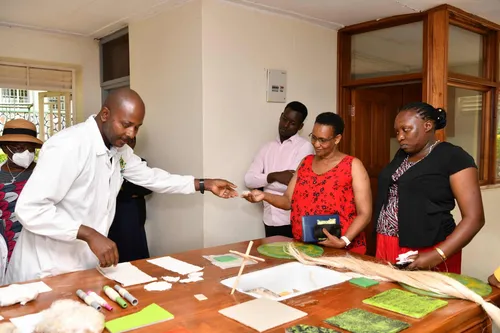 Banana fibre innovation display