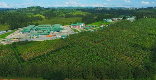 Pilot plant view 1