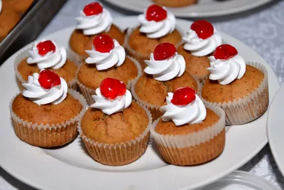 Dish made with Tooke flour 8
